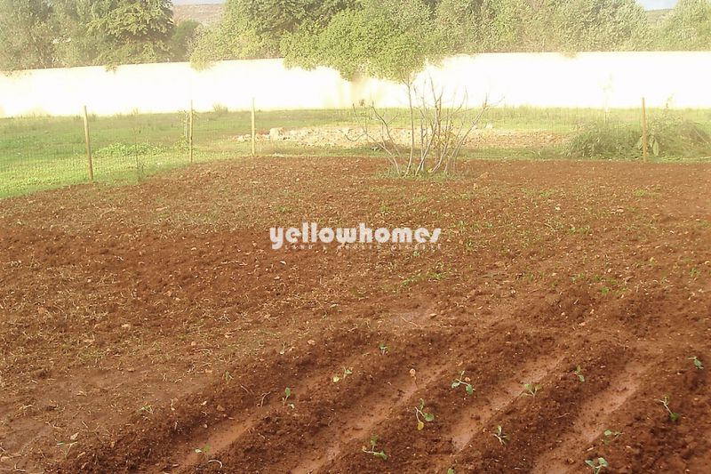 Moradia V4 inserida num espaçoso lote de terreno numa zona rural perto de Lagos